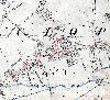 The village east of The Causeway in 1883